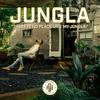 Jungla - DNY