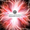 Bandicoot (Radio Edit) - Manuel Costa&RayVen&Valexx