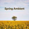 Breathe - Quiet Meditation Music