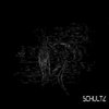 A World of Money - Schultz