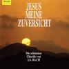 Ich habe meine Zuversicht, BWV 188: Ich habe meine Zuversicht, BWV 188: Chorale: Auf meinen lieben Gott - Gachinger Kantorei&Stuttgart Bach Collegium&Württemberg Chamber Orchestra Heilbronn&Helmuth Rilling