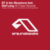 All These Wounds (Original Mix) - BT&Ilan Bluestone&Stef Lang