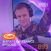 Wild Things(ASOT 893) - Sean Murphy&Michele C