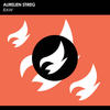 Raw (Original Mix) - Aurelien Stireg
