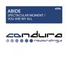 Spectacular Moment (Original Mix) - Abide