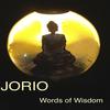 Words of Wisdom (Radio Edit) - Jorio