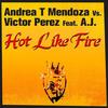 Hot Like Fire - Andrea T Mendoza&A.J.