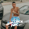 VOU TE EMPURRANDO (Explicit) - Dj Wallace Nk&MC Rafa 22