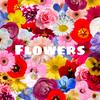 Flowers - Jayezz