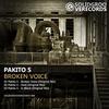 Broken Voice - Pakito S.