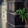 三月里春风 - 策晓凯
