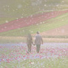 Emotional Heart - 양정승