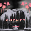 Carousel - Amplify&Fanatics