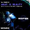 What Is Reality (Ed E.T & D.T.R vs. MCP Remix) - DJ Chuck-E