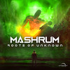 Roots of Unknown (Original Mix) - Mashrum