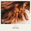 Onward - Just Plvnes