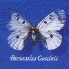 Samantha - Francesco Guccini