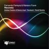 Recovery (Soulwerk Remix) - Fernando Ferreyra&Mariano Favre