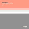 Fleeting Moments (Leila Scheiwe Remix) - Thales Senses&Leila Scheiwe