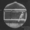 Vacuum - Idle