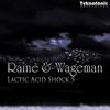 Lactic Acid Shock 5 (Original Mix) - Raine&Wageman