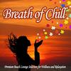 Relax (Chill Moon Reiki Mix) - naoto&Yuzu Chu