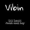 Vibin (Explicit) - Lil Lxuii&Cool Boy Jacob
