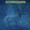 Paragraphs (Original Mix) - Schuerfes