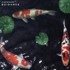 Guidance - Capshun