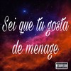 Sei que tu gosta de menage (Explicit) - DJ CHRIS SP&Iraqui Zl