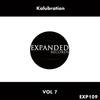 The Night (Original Mix) - Kalubration