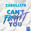 Can't Forget You - 22 Bullets