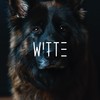 Staffellauf - Witte