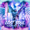 Lost Soul - Sandro Silva&STVW