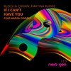 If I Can't Have You (Original Mix) - Block & Crown&Martina Budde&Nadja Cooper