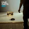 Stay - David Guetta&Joachim Garraud&Chris Willis