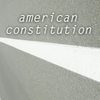 American Constitution - Darius