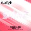 Shine (V.Sexion Remix) - Theodor Zox