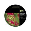 Skylime (Original Mix) - Taras Van De Voorde&Jelle Kuipers