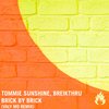 Brick by Brick (Valy Mo Remix) - Tommie Sunshine&Breikthru&Valy Mo