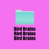 Bird Brains (feat. TAWPO) (Explicit) - 14 Golds&tawpo