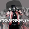 Componente - La Sabiduría