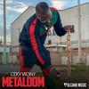 Metaldom - Ceky Viciny