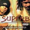 Suberb(D's and Vogue's) (Explicit) - Superb