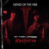 KwaSatan(feat. Tman Xpress) - Genes Of The Vibe&Tman Xpress