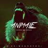 Animale - Thaiwanda Thai
