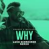 Why (Luca Schreiner Remix) - Shaggy&Massari