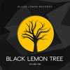 Black Lemon Tree (Jon Thomas DJ Mix - Continuous DJ Mix) - Black Lemon Allstars