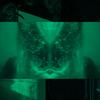 Into the Vagueness (feat. Grisfx) - Sanctum&Grisfx