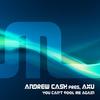 You Can't Fool Me Again - Andrew Cash&Aku